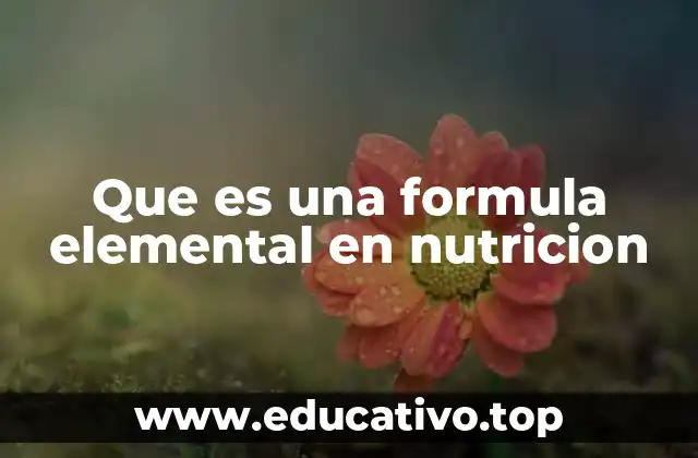 Que es una formula elemental en nutricion