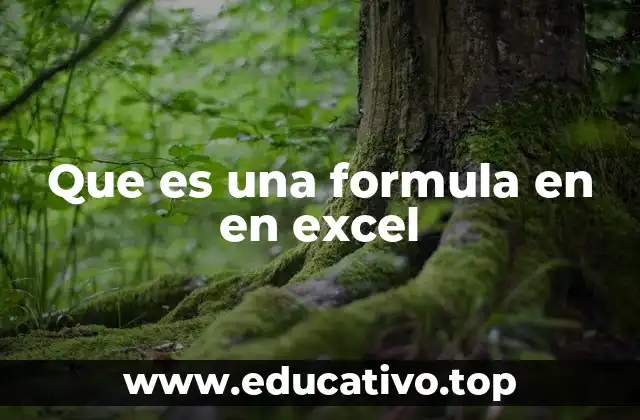 Que es una formula en en excel