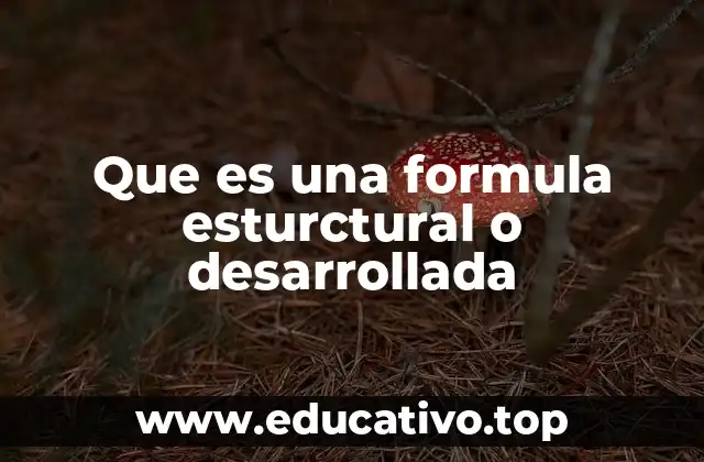 Que es una formula esturctural o desarrollada