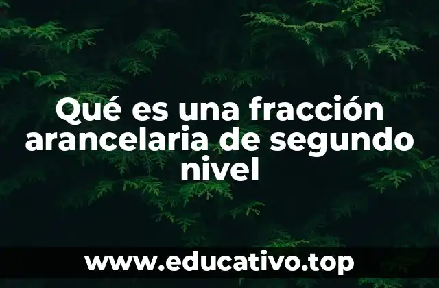 Qué es una fracción arancelaria de segundo nivel