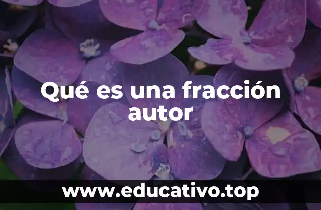 Qué es una fracción autor