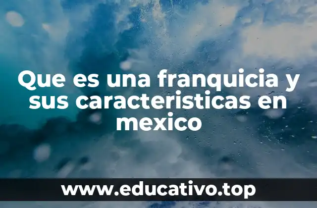 Que es una franquicia y sus caracteristicas en mexico