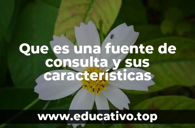 Que es una fuente de consulta y sus características