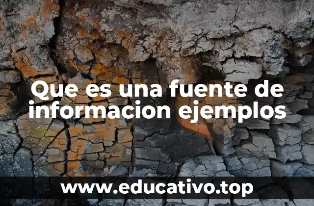 Que es una fuente de informacion ejemplos