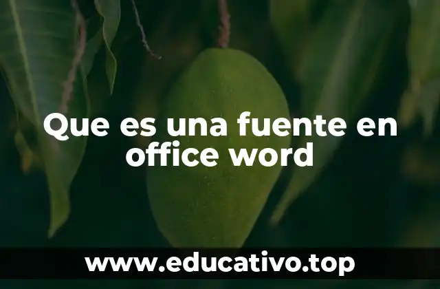 Que es una fuente en office word