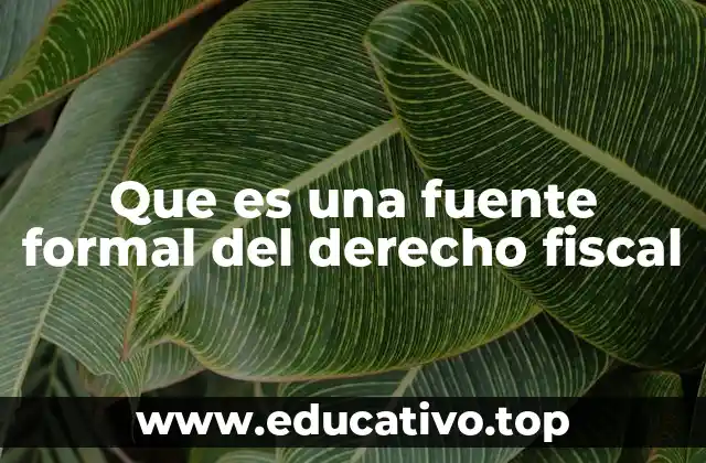Que es una fuente formal del derecho fiscal