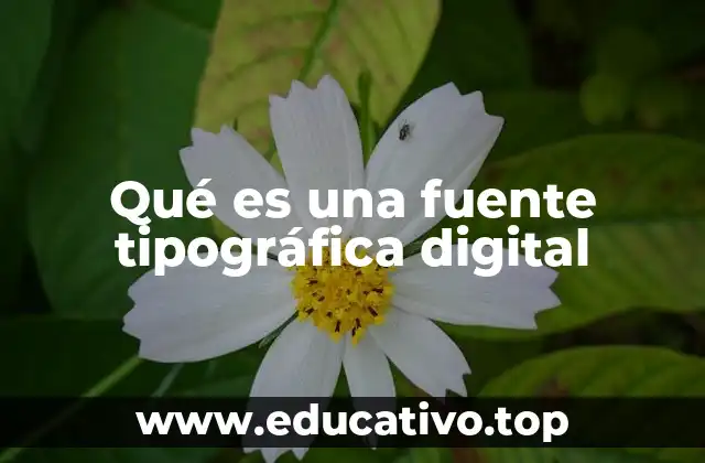 Qué es una fuente tipográfica digital