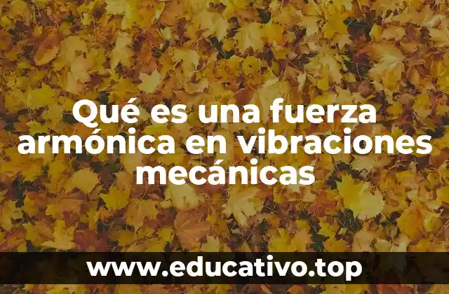 Qué es una fuerza armónica en vibraciones mecánicas