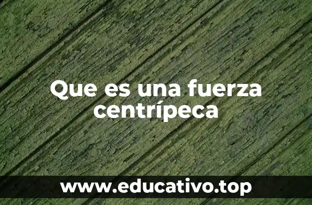 Que es una fuerza centrípeca