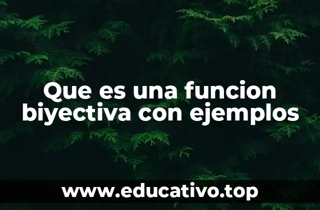 Que es una funcion biyectiva con ejemplos