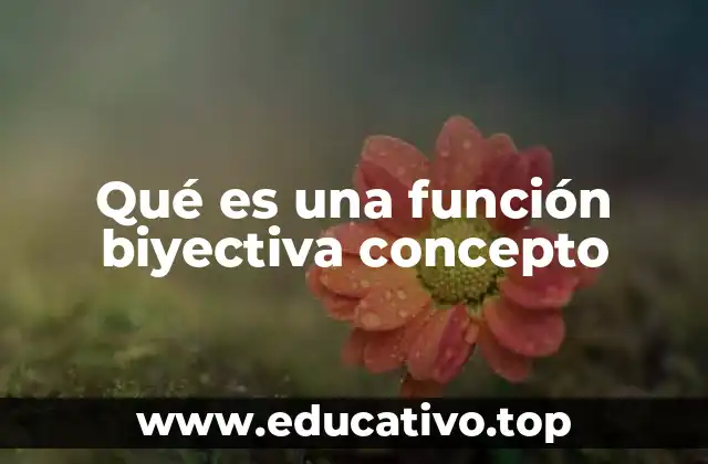 Qué es una función biyectiva concepto