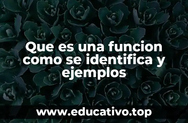 Que es una funcion como se identifica y ejemplos