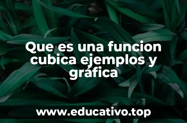 Que es una funcion cubica ejemplos y gráfica