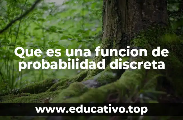 Que es una funcion de probabilidad discreta