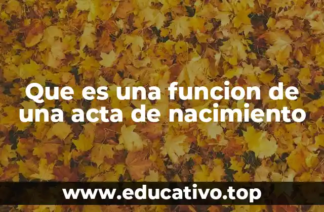 Que es una funcion de una acta de nacimiento