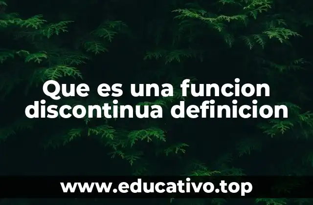 Que es una funcion discontinua definicion