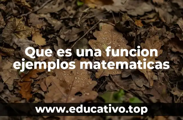 Que es una funcion ejemplos matematicas
