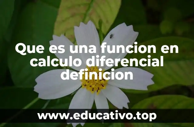 Que es una funcion en calculo diferencial definicion