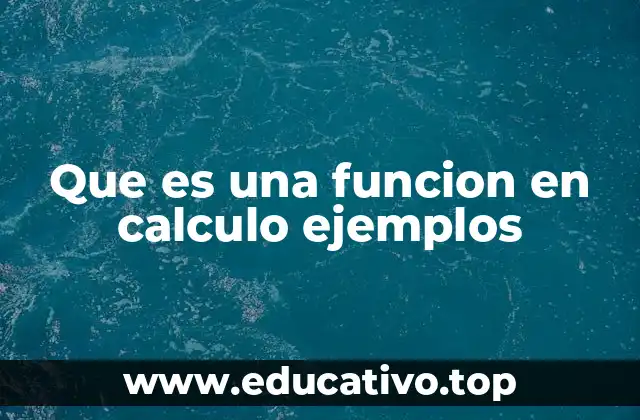 Que es una funcion en calculo ejemplos