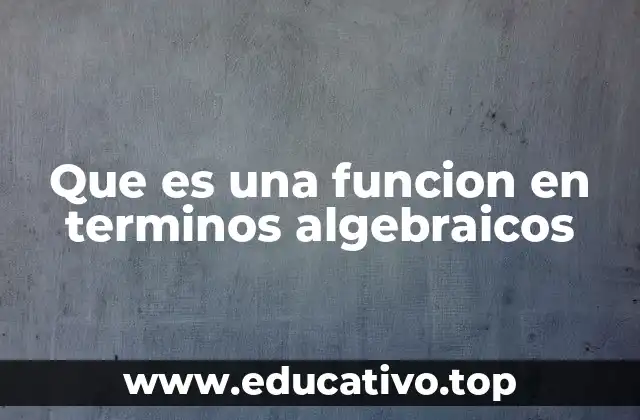 Que es una funcion en terminos algebraicos
