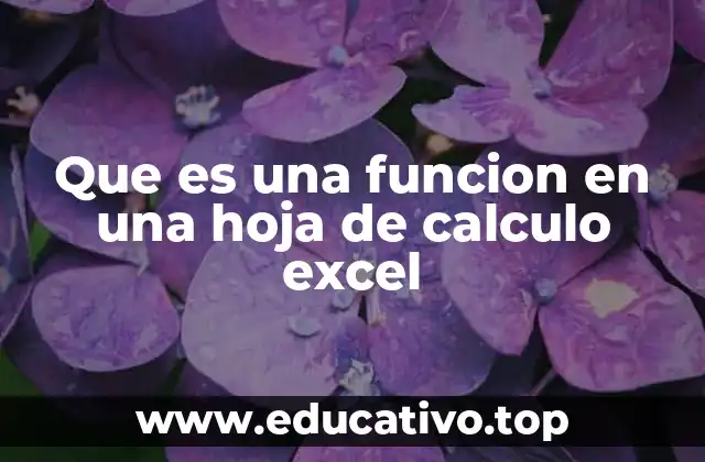 Que es una funcion en una hoja de calculo excel