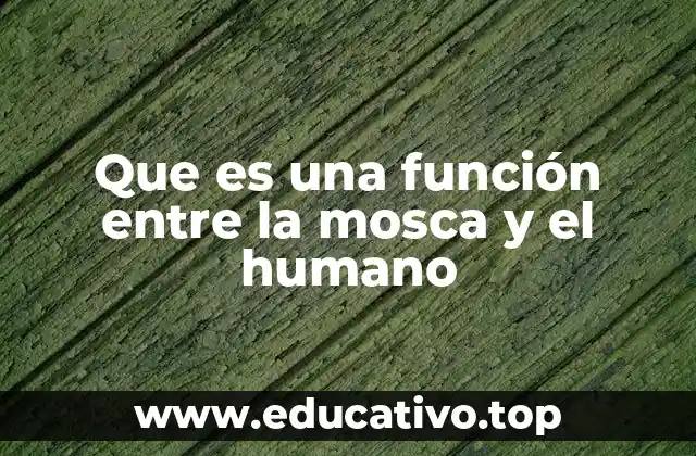 Que es una función entre la mosca y el humano