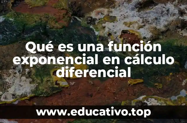 Qué es una función exponencial en cálculo diferencial