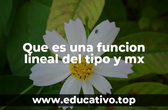 Que es una funcion lineal del tipo y mx