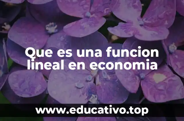 Que es una funcion lineal en economia