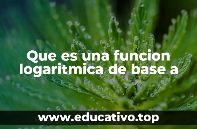 Que es una funcion logaritmica de base a