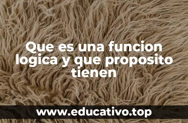 Que es una funcion logica y que proposito tienen