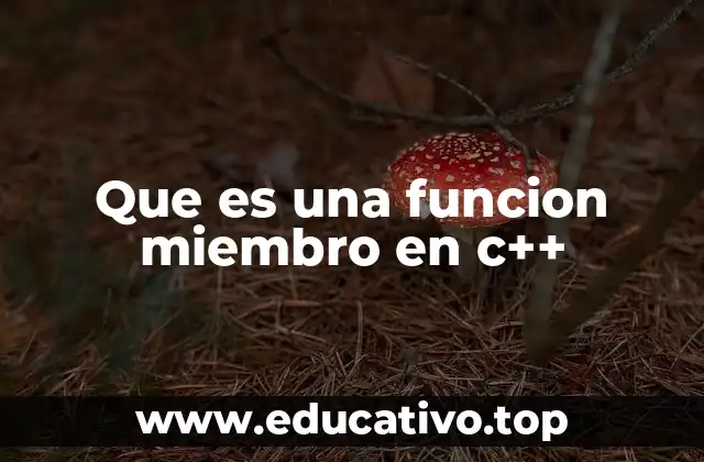 Que es una funcion miembro en c++