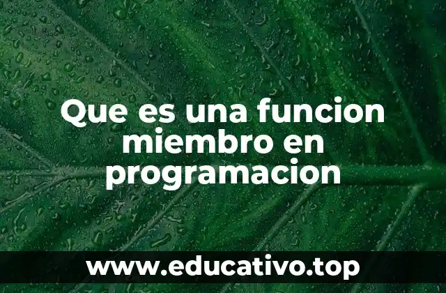 Que es una funcion miembro en programacion
