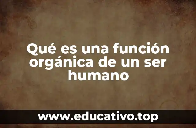 Qué es una función orgánica de un ser humano