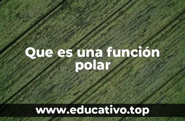 Que es una función polar