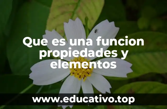 Que es una funcion propiedades y elementos