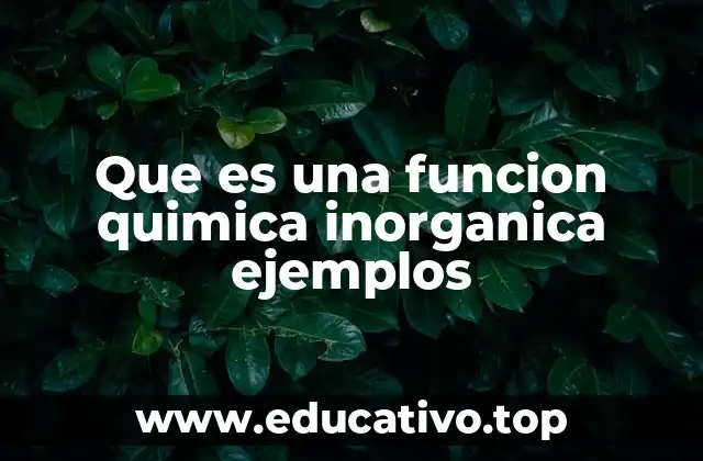 Que es una funcion quimica inorganica ejemplos