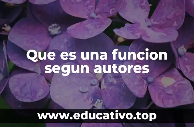 Que es una funcion segun autores