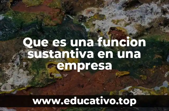 El rol de las funciones sustantivas en la estructura organizacional