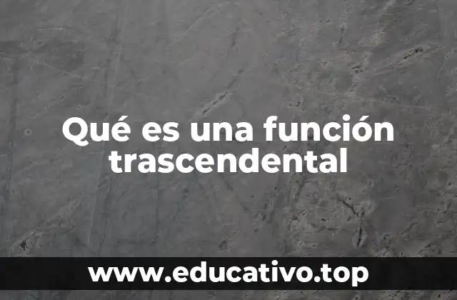 El papel de las funciones trascendentales en el análisis matemático