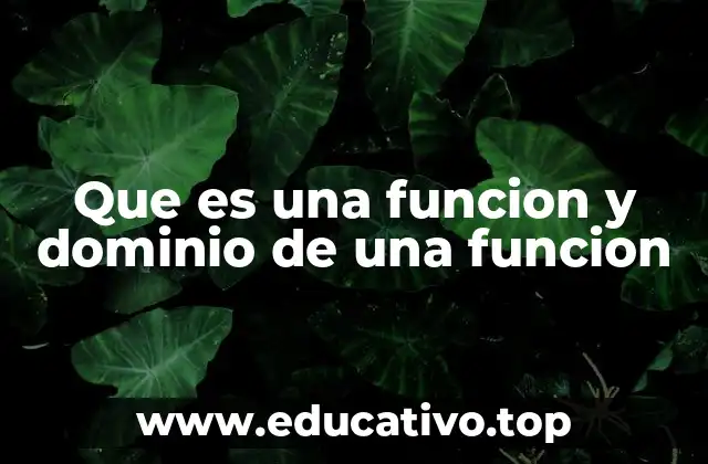 Que es una funcion y dominio de una funcion