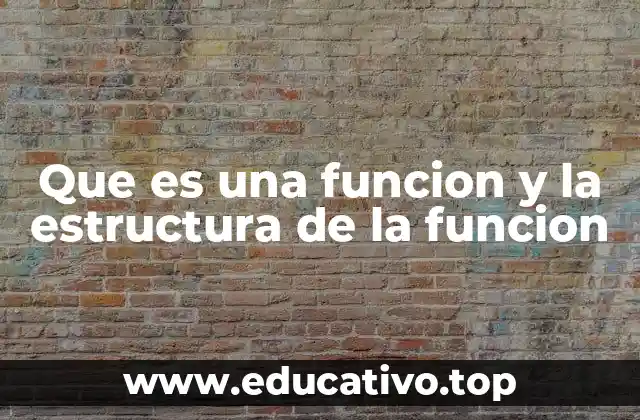 Que es una funcion y la estructura de la funcion