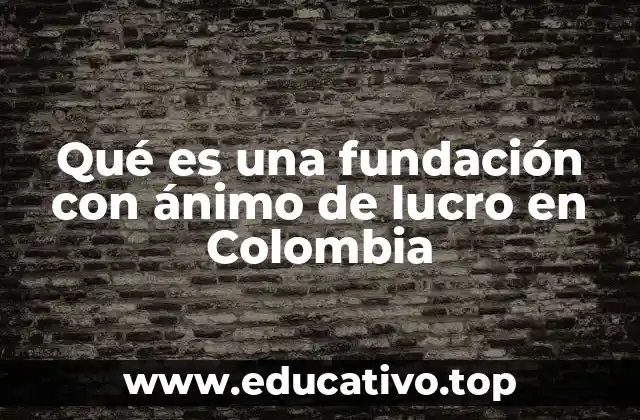 Qué es una fundación con ánimo de lucro en Colombia