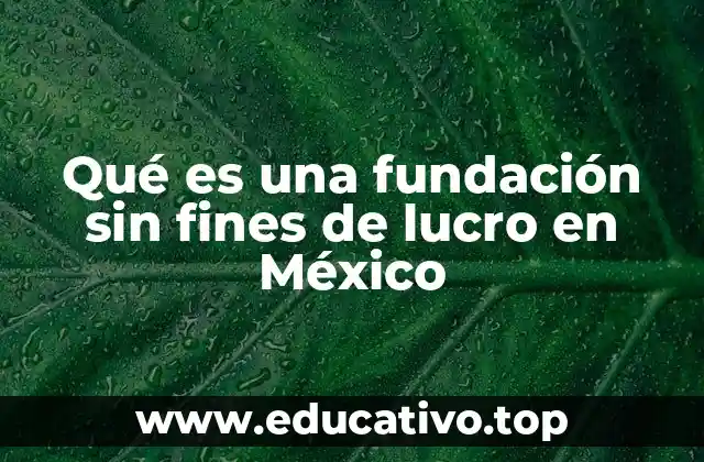 Características legales y operativas de las fundaciones sin fines de lucro