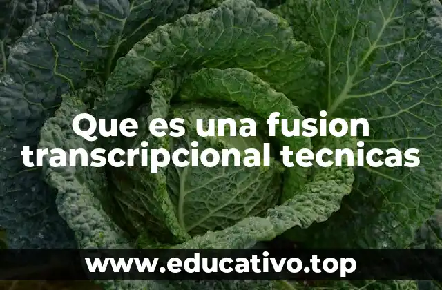 Que es una fusion transcripcional tecnicas