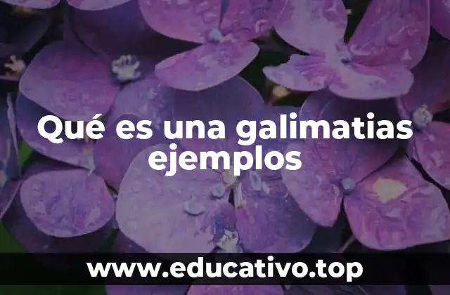 Qué es una galimatias ejemplos