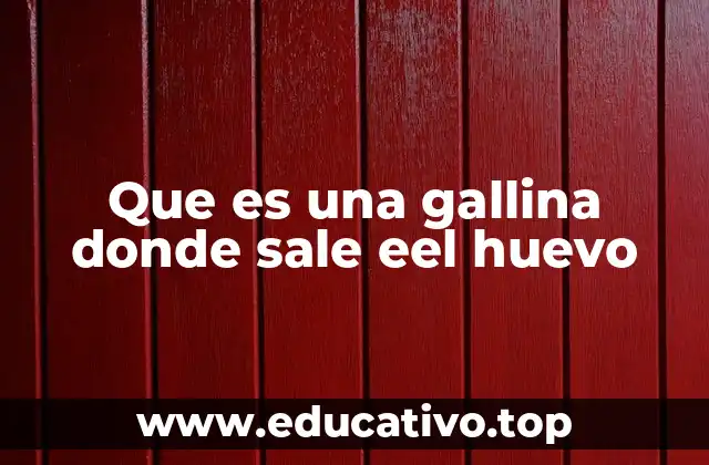 Que es una gallina donde sale eel huevo