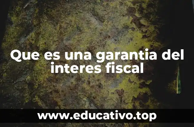 El rol de las garantías en el ámbito fiscal