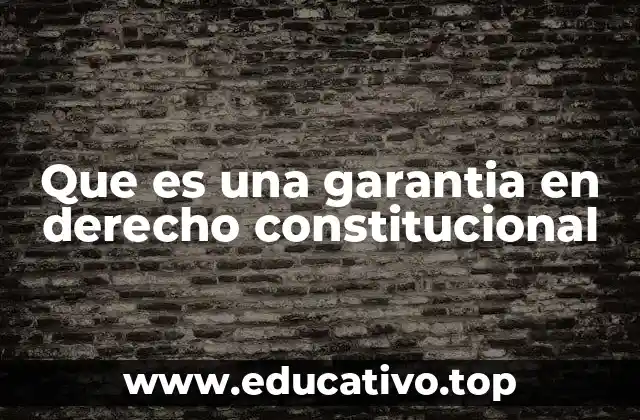 Que es una garantia en derecho constitucional