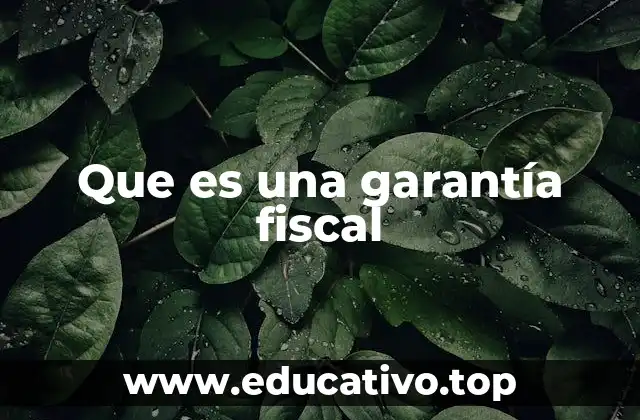 Que es una garantía fiscal